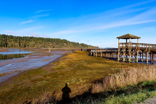 Billy Frank Jr. Nisqually National Wildlife Refuge by null