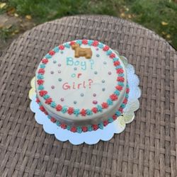 The Biscuit Barkery - Gender reveal cake!