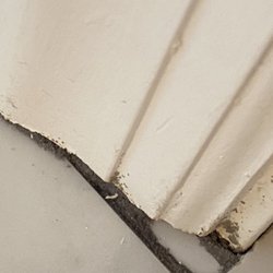 Abbey Carpet & Floor - They could not under cut doors, so they put pieces of broken tile in spots to hide their poor cut jobs