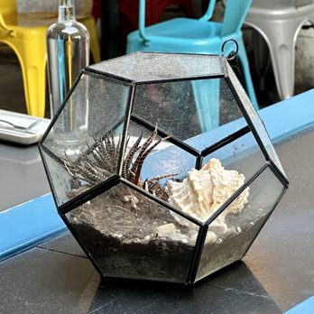 Ciudad - Dust on all the terrariums - Tapas/Small Plates Near Me - Seattle, Washington