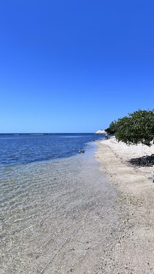 La Guancha by null