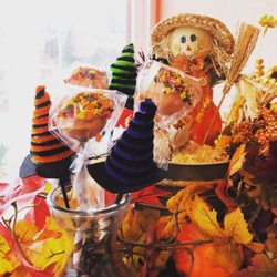 Dark Horse Brew - Fall Vibes and Yummy Chocolate Cake Pops!