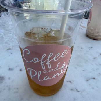 Coffee and Plants - Peach please! - Coffee & Tea Near Me - Studio City, California Coffee and Plants - Peach please! - Coffee & Tea Near Me - Studio City, California