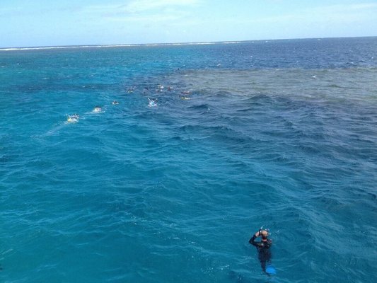 Great Barrier Reef by null