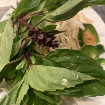 Pho Hut - The accutrement...sprouts, basil & Jalapeños - Vietnamese Near Me - Glendale, California Pho Hut - The accutrement...sprouts, basil & Jalapeños - Vietnamese Near Me - Glendale, California