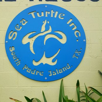 Sea Turtle - Aquariums Near Me - South Padre Island, Texas Sea Turtle - Aquariums Near Me - South Padre Island, Texas