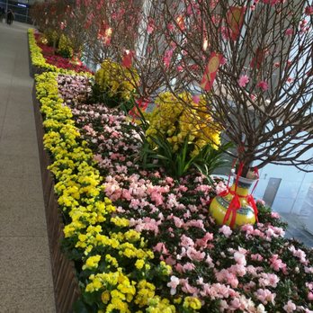 富豪機場酒店 - Hotels Near Me - Hong Kong, HK 富豪機場酒店 - Hotels Near Me - Hong Kong, HK