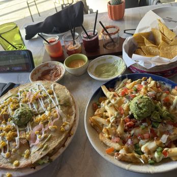 Neon Cactus - Avocado quesadillas, Nachos fries, Frozen margarita flight - Salad Near Me - Fairview, Texas Neon Cactus - Avocado quesadillas, Nachos fries, Frozen margarita flight - Salad Near Me - Fairview, Texas