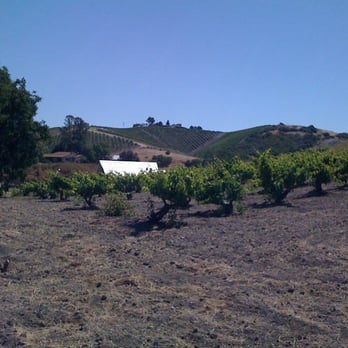 Turley Wine Cellars - View of Vineyard from the Entrance - Wineries Near Me - Templeton, California