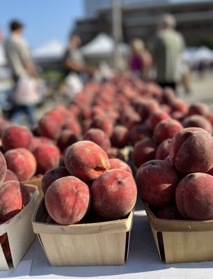 Evanston Farmers' Market by null