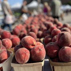 Evanston Outdoor Farmers Market - July 22, 2023 Fresh peaches
