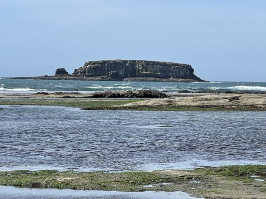 Devils Punchbowl State Natural Area by null