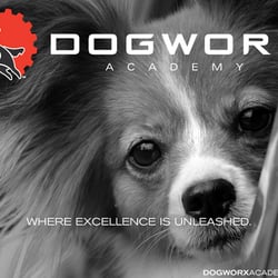Dogworx Academy - We can help you with whatever temperament dog you have.