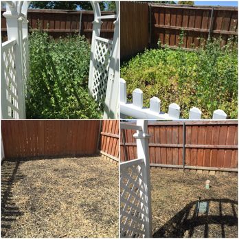The Perfect Cut Landscape & Maintenance - Clean Up - Landscaping Near Me The Perfect Cut Landscape & Maintenance - Clean Up - Landscaping Near Me