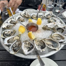 Oysters Oysters