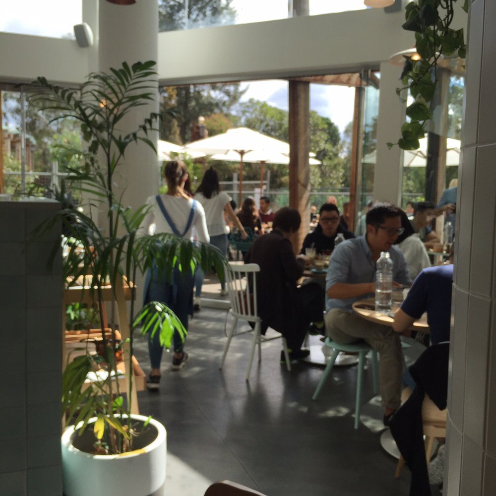 Kitty Burns - Light and bright seating area! - Coffee & Tea Near Me - Abbotsford, VIC