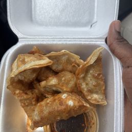 Fried dumplings Fried dumplings