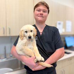 Petal Animal Clinic - Jayce, one of our veterinary technicians, getting some golden lovins!