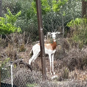Will Smith Zoo School - Preschools Near Me - San Antonio, Texas Will Smith Zoo School - Preschools Near Me - San Antonio, Texas