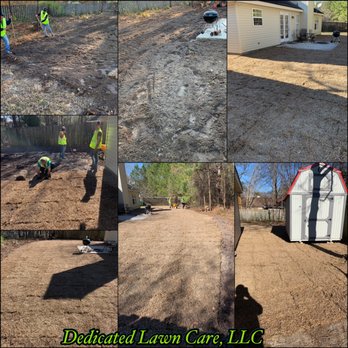 Dedicated Lawn Care - Installed centipede sod throughout the whole back yard and up the side. - Tree Services Near Me Dedicated Lawn Care - Installed centipede sod throughout the whole back yard and up the side. - Tree Services Near Me