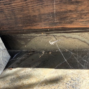 Source Pest Control - Pest Control Near Me - Temecula, California