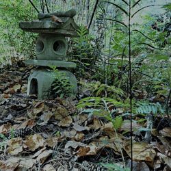 Vines Gardens