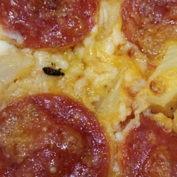 Baby Roach in the pizza, I saw a speck and legs, In front of a few people a took and dug it out from under the cheese. Baby Roach in the pizza, I saw a speck and legs, In front of a few people a took and dug it out from under the cheese.