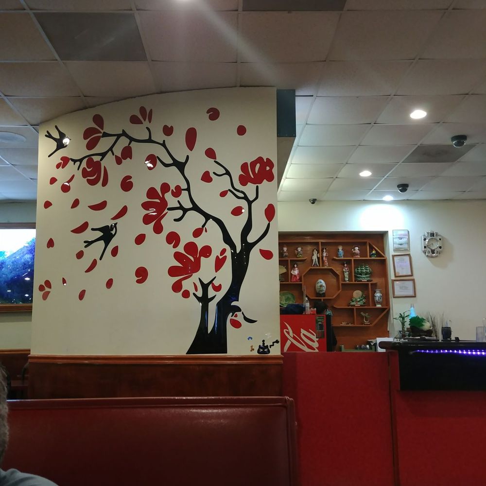 The new china buffet oriental cuisine