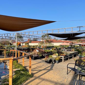 Plant Depot - They carry a wide variety of plants and flowers - Nurseries & Gardening Near Me - San Juan Capistrano, California Plant Depot - They carry a wide variety of plants and flowers - Nurseries & Gardening Near Me - San Juan Capistrano, California