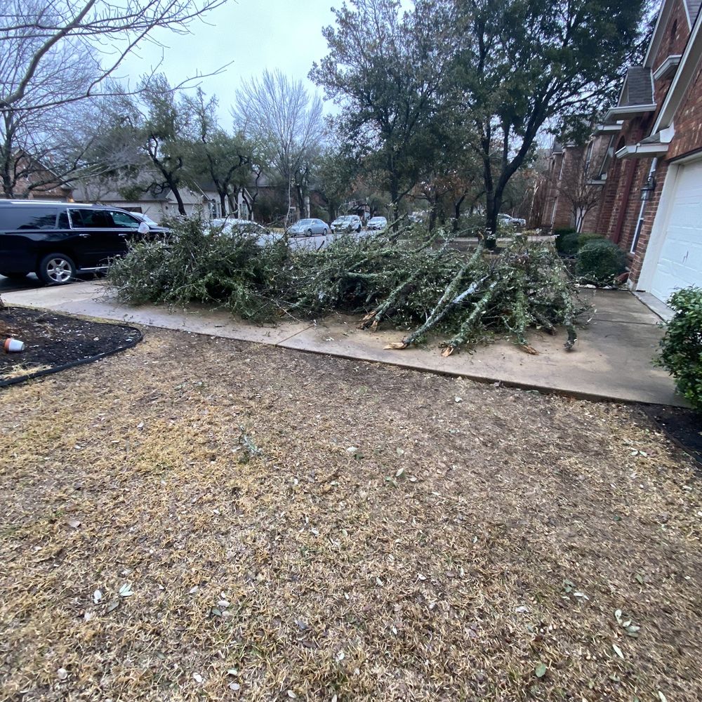 Top Choice Lawn Care - Landscaping Near Me - Austin, Texas Top Choice Lawn Care - Landscaping Near Me - Austin, Texas