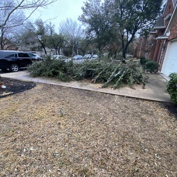 Top Choice Lawn Care - Landscaping Near Me - Austin, Texas Top Choice Lawn Care - Landscaping Near Me - Austin, Texas