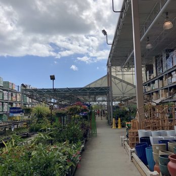 Lowe's Home Improvement - Plants outdoors - Hardware Stores Near Me - Honolulu, Hawaii