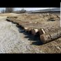 Timber Source Professional Tree Services