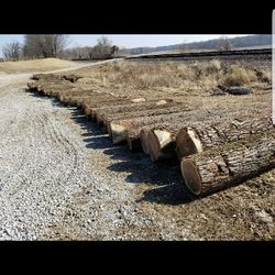 Timber Source Professional Tree Services