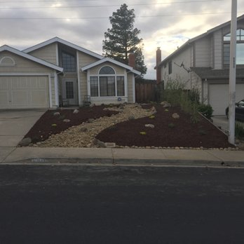 Indra Designs - Initial install October 2016 - Landscaping Near Me - Richmond, California Indra Designs - Initial install October 2016 - Landscaping Near Me - Richmond, California