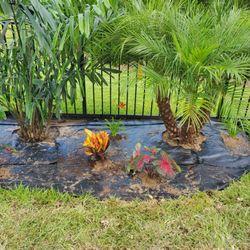 Holiday's Nursery & Landscaping