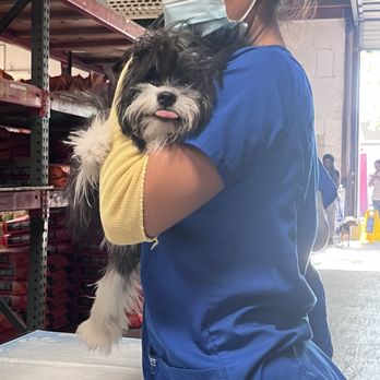 Western Feed & Pet Supply - Pet Stores Near Me - Sacramento, California Western Feed & Pet Supply - Pet Stores Near Me - Sacramento, California