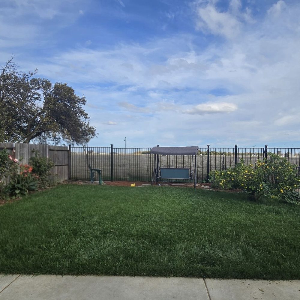 Campos Landscaping - Backyard after - Landscaping Near Me Campos Landscaping - Backyard after - Landscaping Near Me