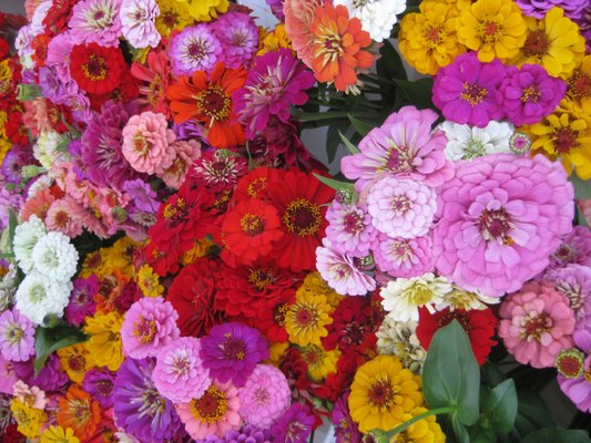 South Durham Farmers' Market by null