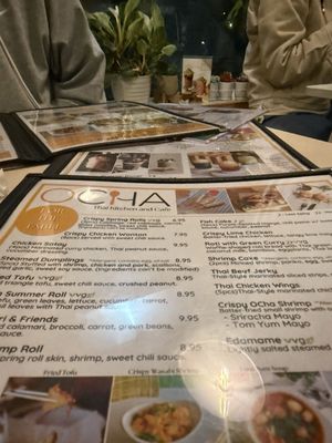 Menu photo 1 Ocha Thai Kitchen & Cafe Centreville, VA