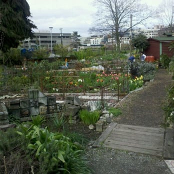 Cascade P-Patch - Community Gardens Near Me - Seattle, Washington Cascade P-Patch - Community Gardens Near Me - Seattle, Washington