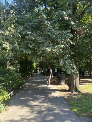 Van Vorst Park by null