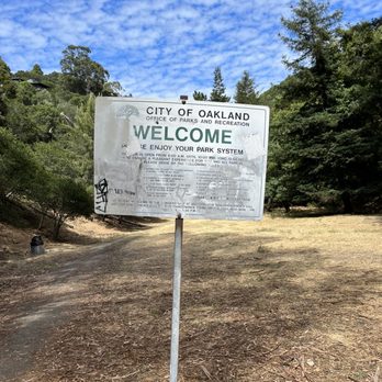 Leona Heights Park - A short hike after a half days work. Redwoods! - Parks Near Me - Oakland, California Leona Heights Park - A short hike after a half days work. Redwoods! - Parks Near Me - Oakland, California