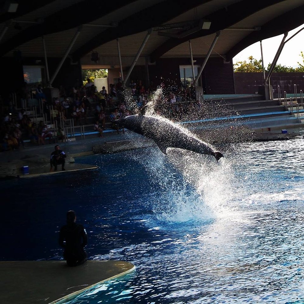 THE BEST 10 ZOOS in BOLOGNA, ITALY - Updated 2026 - Hours - Yelp, image size:1000x1000