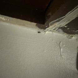 Woodward Properties - Roach