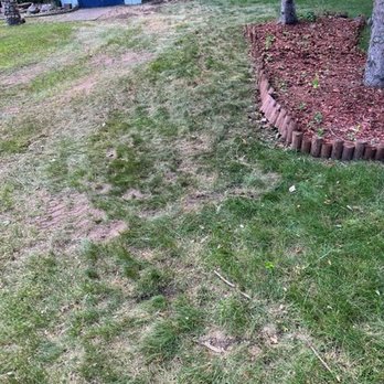 Ostvig Tree - Tree Services Near Me - Wayzata, Minnesota