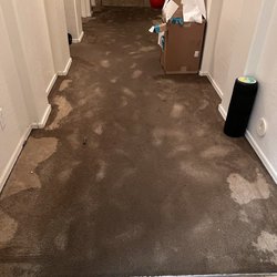 Silverton Restoration & Contracting - Not what you want to wake up to