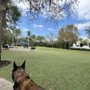 Photo of Blanche Park