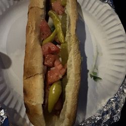 Chicago Dog