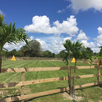 Pro Dog Academy - Training field - Pet Training Near Me - Loxahatchee, Florida